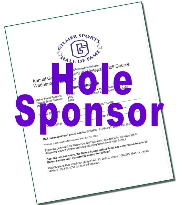 graphic of hole sponsor pdf